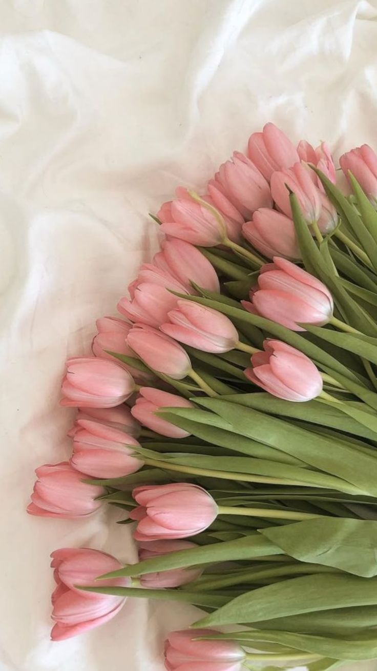 Arreglos florales Entre Pétalos